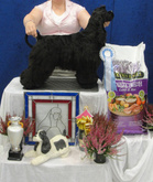 BIS-2 PENTU Pointbreak He Wont Go