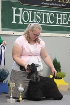 BIS-2 VET Frosty Kiss Comeback In Black