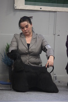 VPN-2 Happy Hullabaloo After Eight