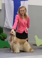 VPN-4 Zheneveva Ticktacktoe