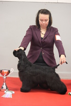 BIS-5 PENTU Exclamation Beyond The Horizon