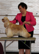 VPN-2 Fabelsfee She Got The Light