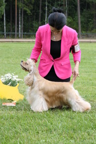 PN-3 Serene Dream On Very Vigie