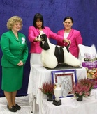 VPU-5 Very Vigie Haute Couture