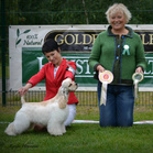 ROP-PENTU Fabelsfee Hate It Or Love It