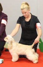 BIS-4 PENTU Serene Spring Of Life