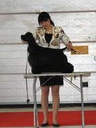 VPU-5 Fabelsfee Lets Play The Game