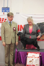 BIS-2 LEIKATTUTURKKINEN Lucott Cucacaracha