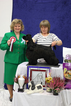 BIS-1 PENTU Admirals Shou No Doubt About It