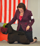 VPU-2 Exclamation Beyond The Horizon