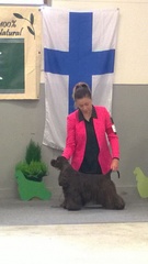 VPN-5 Jezebels Wonder Woman