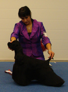 BIS-3 Happy Hullabaloo After Eight
Kuva: Saana Pirinen