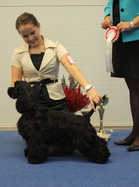 BIS1 Junior Handler Noora Laine & Marvellous Shadow Dancer
Kuva: Noora Laine