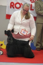 BIS-2 VETERAANI Frosty Kiss' Comeback In Black