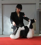 VPU-2 Very Vigie Freezing-In-Finland