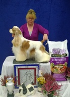 VPN-2 Jezebels Queen Of Galaxy