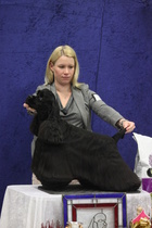 VPU-3 Pointbreak A Million Miles Away