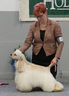 VPU-4 Serene Bring Me The Spring