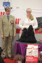 BIS-1 PARI Pointbreak A Million Miles Away ja Frosty Kiss' Designed With Luv