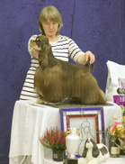 VPN-2 Admirals Shou Shokolad Bi