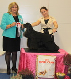 VPU-4 & BIS veteraani Truly Yours Avantgarde
Kuva: Jaana Myllymäki