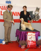 VPN-3 Marvellous Showbright Crystal