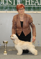 BIS-3 PENTU Serene Vanilla Ice Dream